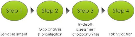 Step 1 Self-assessment  Step 2 Gap analysis & prioritisation  Step 3 In-depth assesment of opportunities  Step 4 Taking action